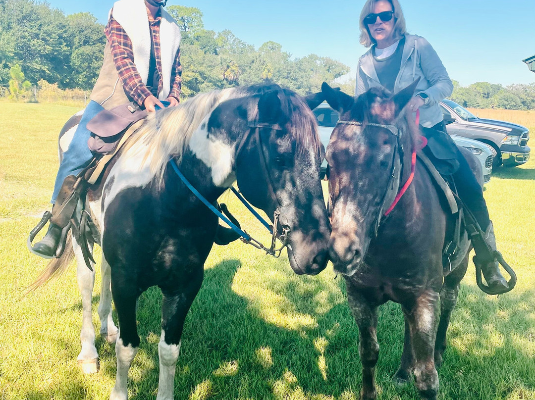 Wagon Wheel Horse Farm-奥基乔比必去景点