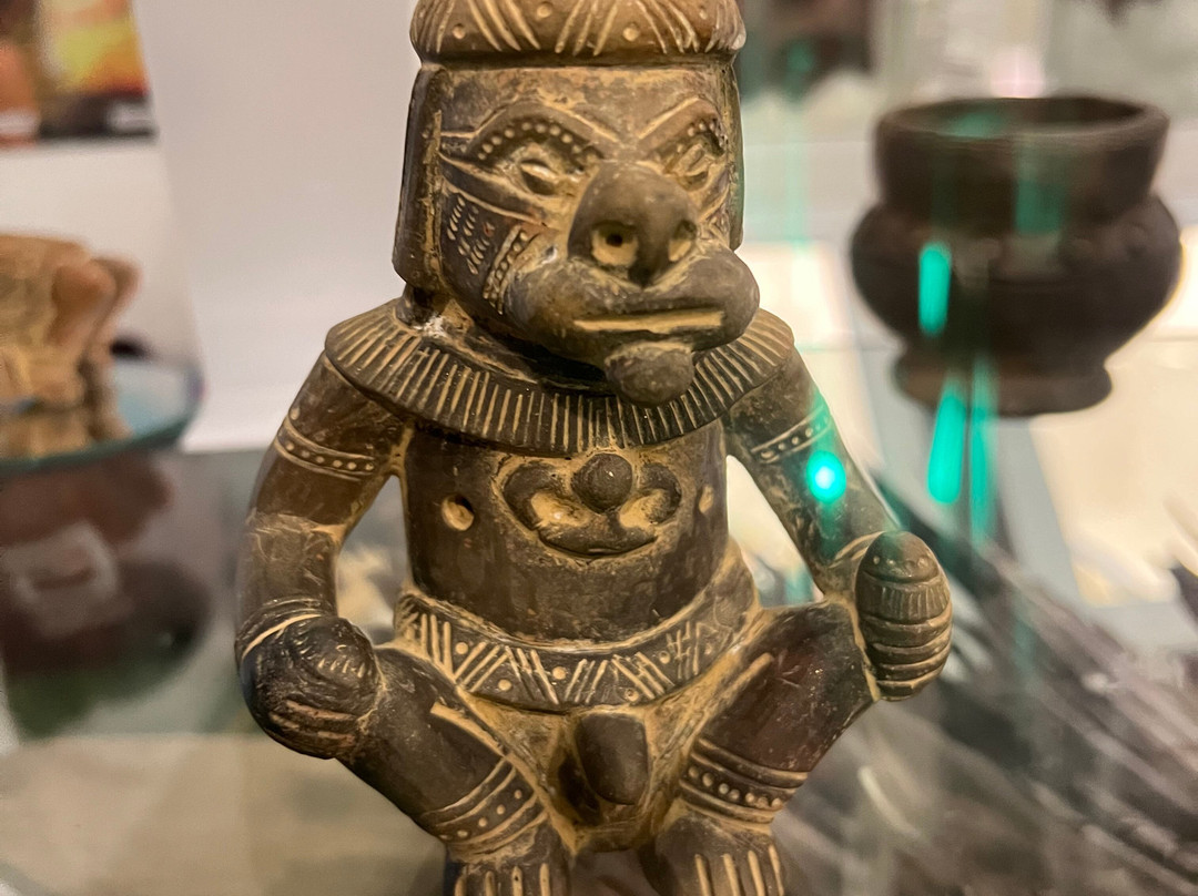 Museo Indigena Ancestral-Minca必去景点