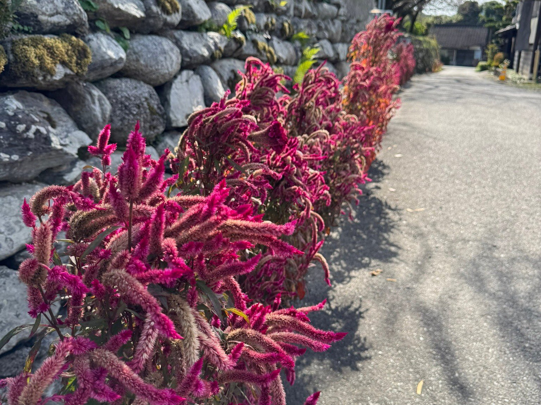 Akizuki  Art Museum-朝仓市必去景点