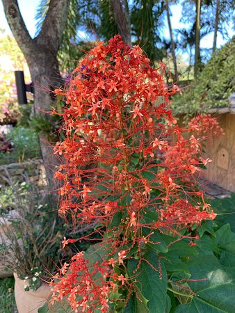 普吉岛塔夫海滩水疗度假村主图