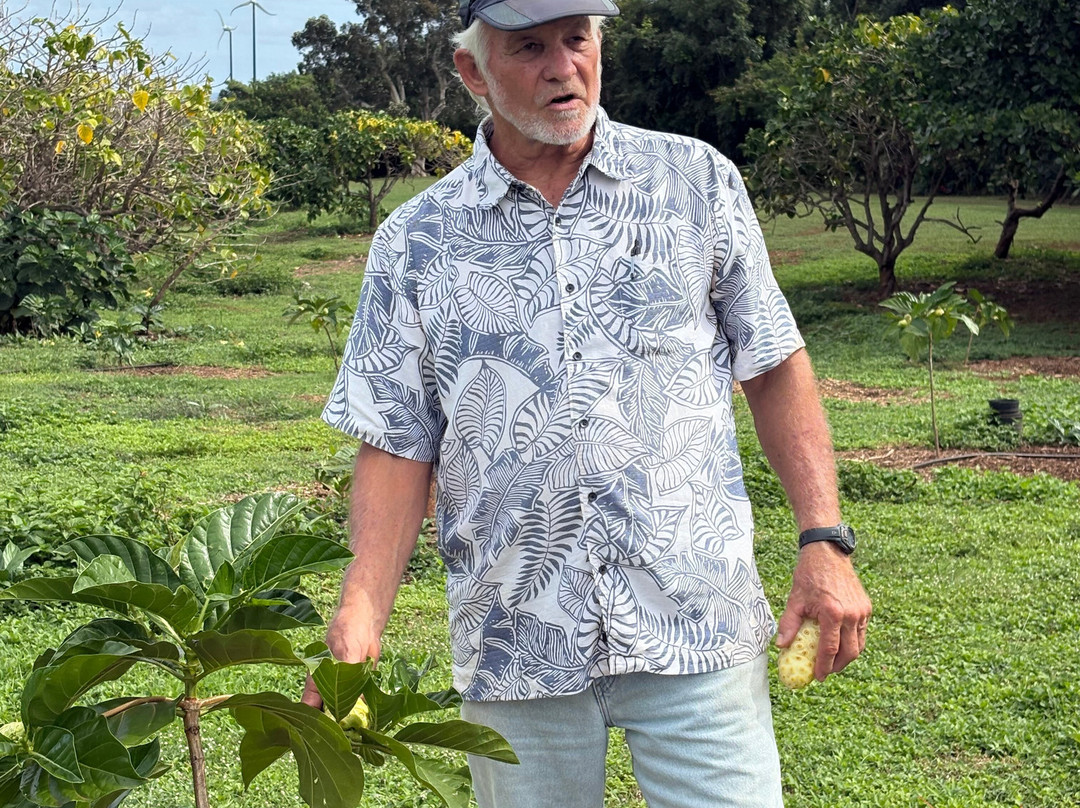 Hawaiian Organic Noni-基拉韦厄必去景点