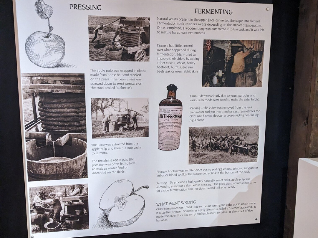 Museum of Cider-赫里福德必去景点