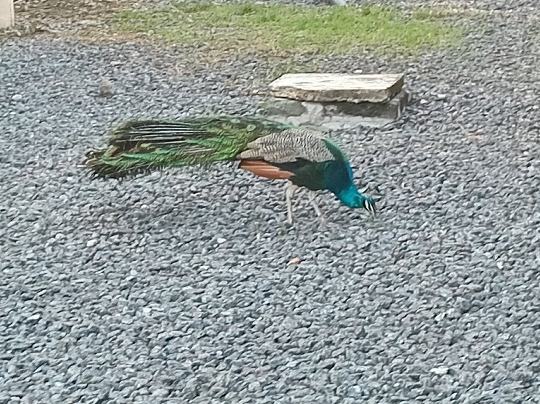 SkyPlus Hotel & Resorts主图