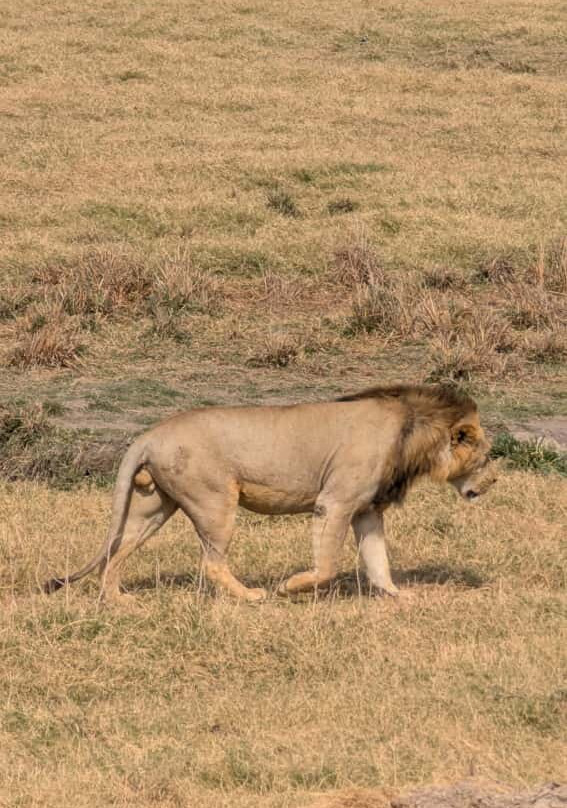 savannah adventures ltd-Mara North Conservancy必去景点