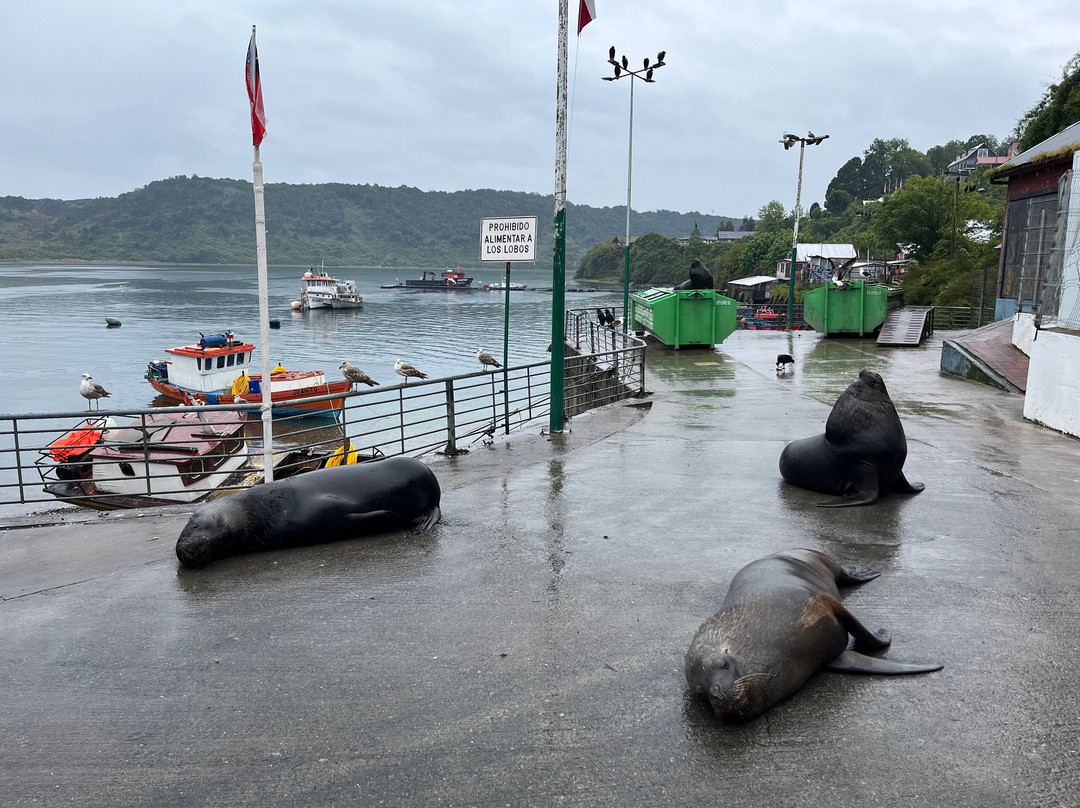 Angelmo-蒙特港必去景点