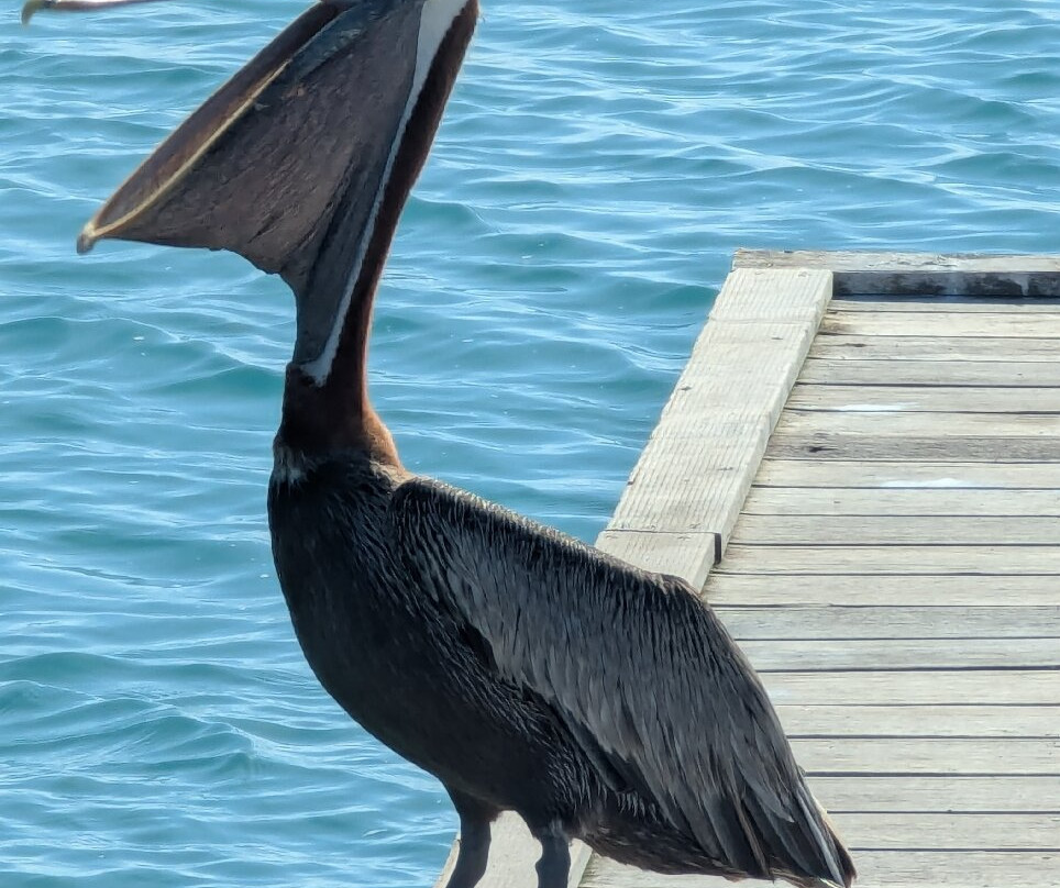 Rodgers Beach-San Nicolas必去景点