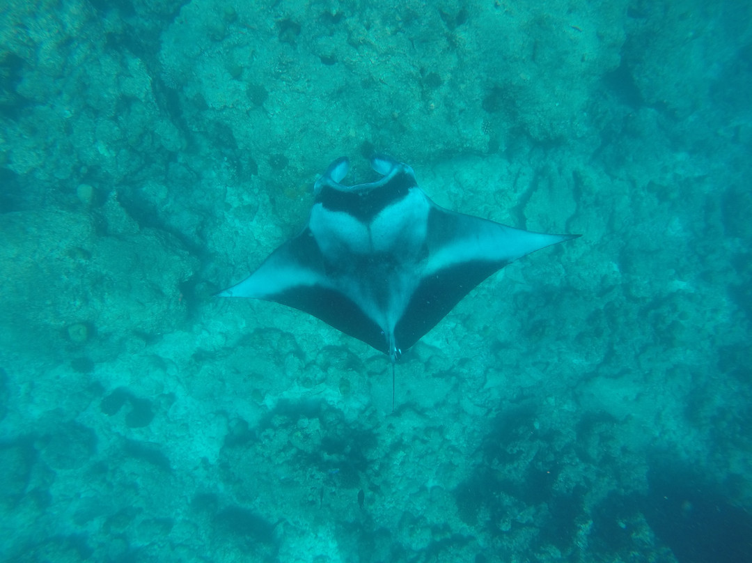 Barukoli sport fishing and excursions-Dharavandhoo必去景点