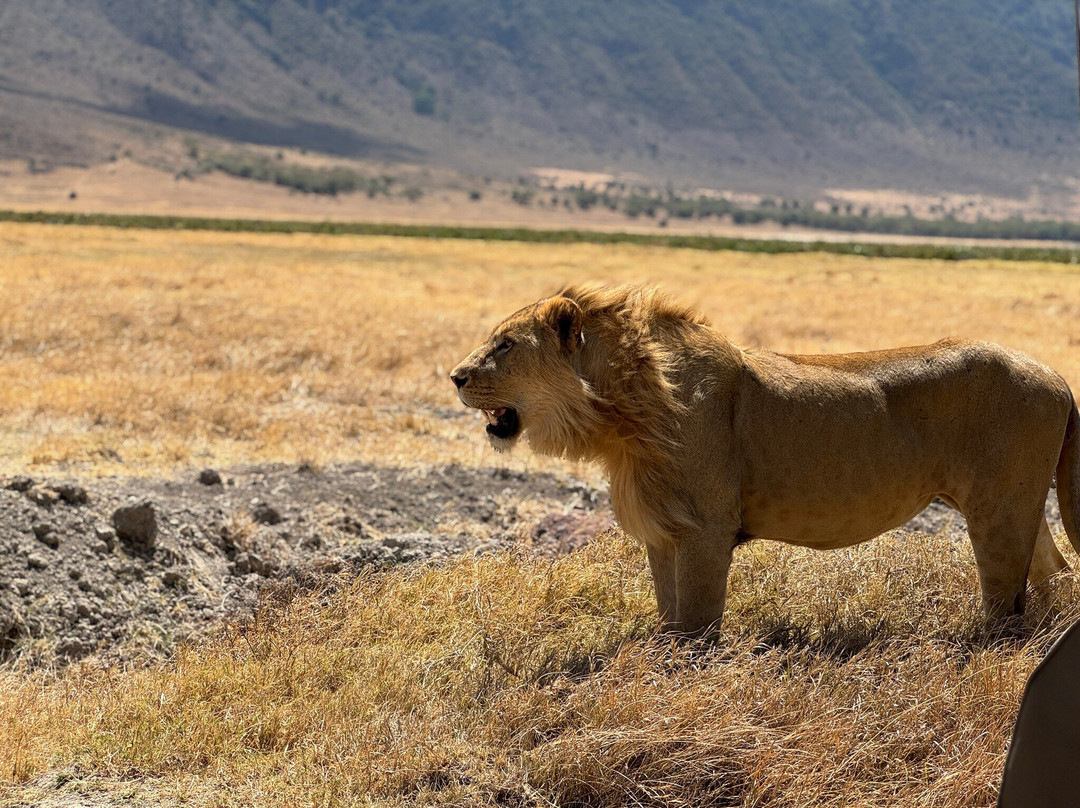 Nyikani Nature Trails