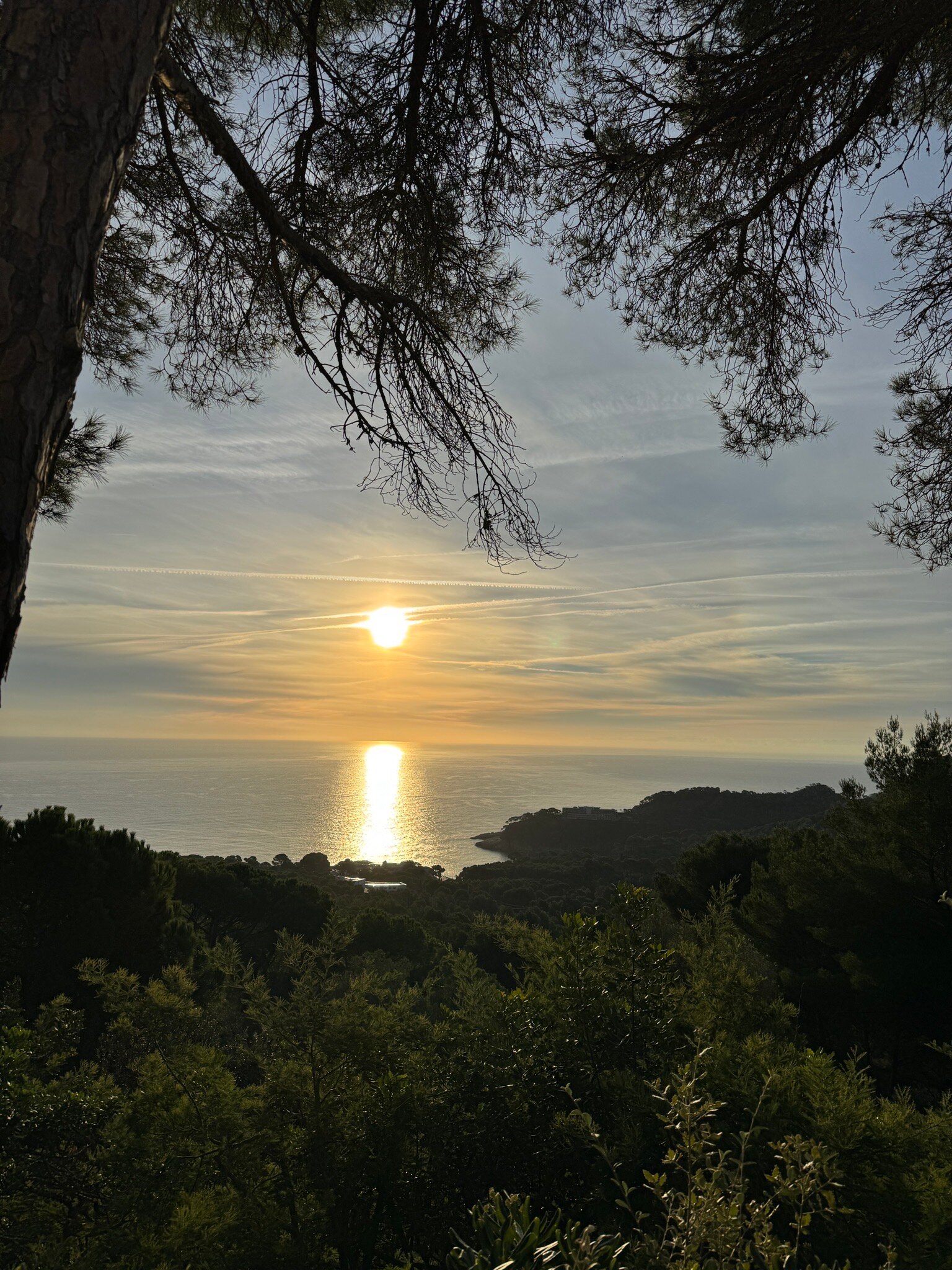 Hostal Sa Barraca-官方