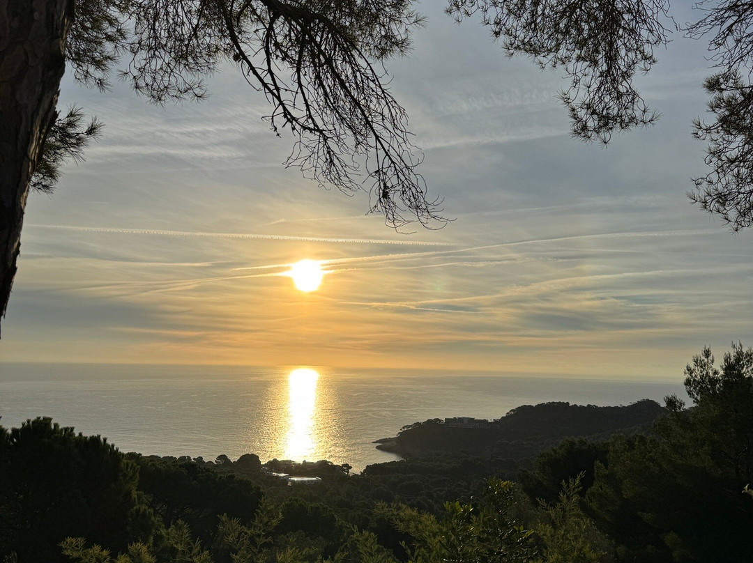 Hostal Sa Barraca主图