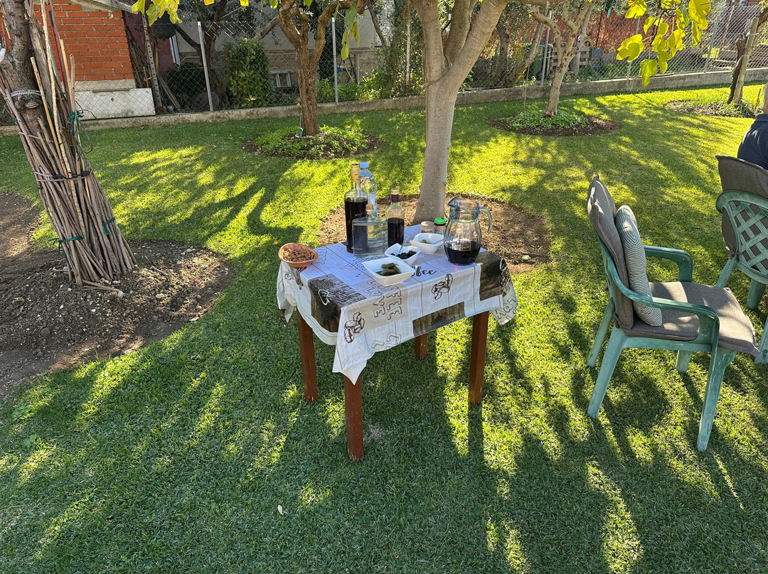 Private Guides in Croatia-斯普利特必去景点