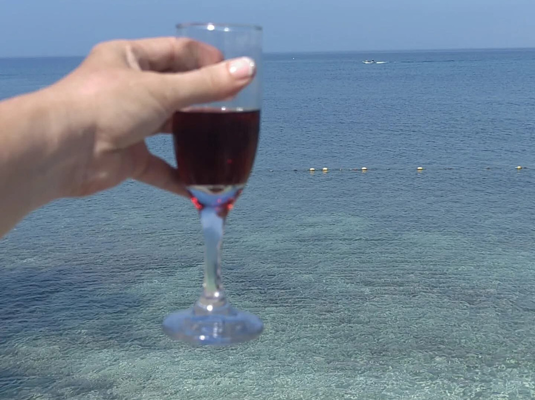 META TRAVEL CARTAGENA-卡塔赫纳必去景点