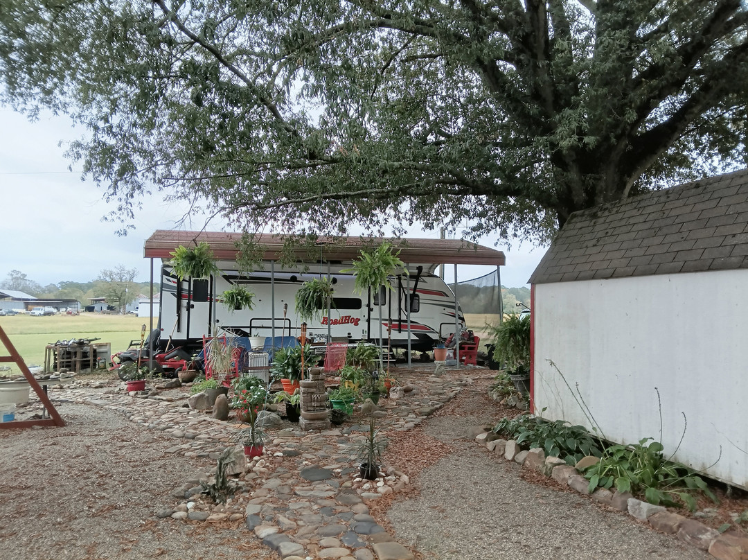 Diamond Oaks Inn Bed and Breakfast主图