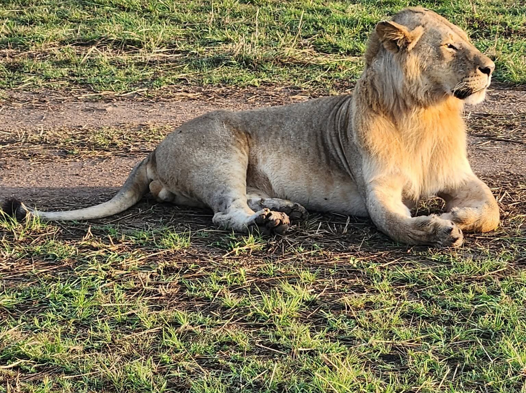 Mamasavana-马林地必去景点