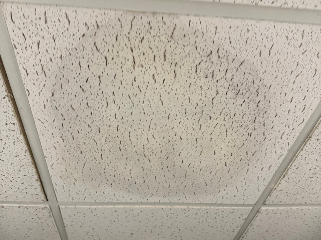 Hampton Inn Stroudsburg/poconos主图