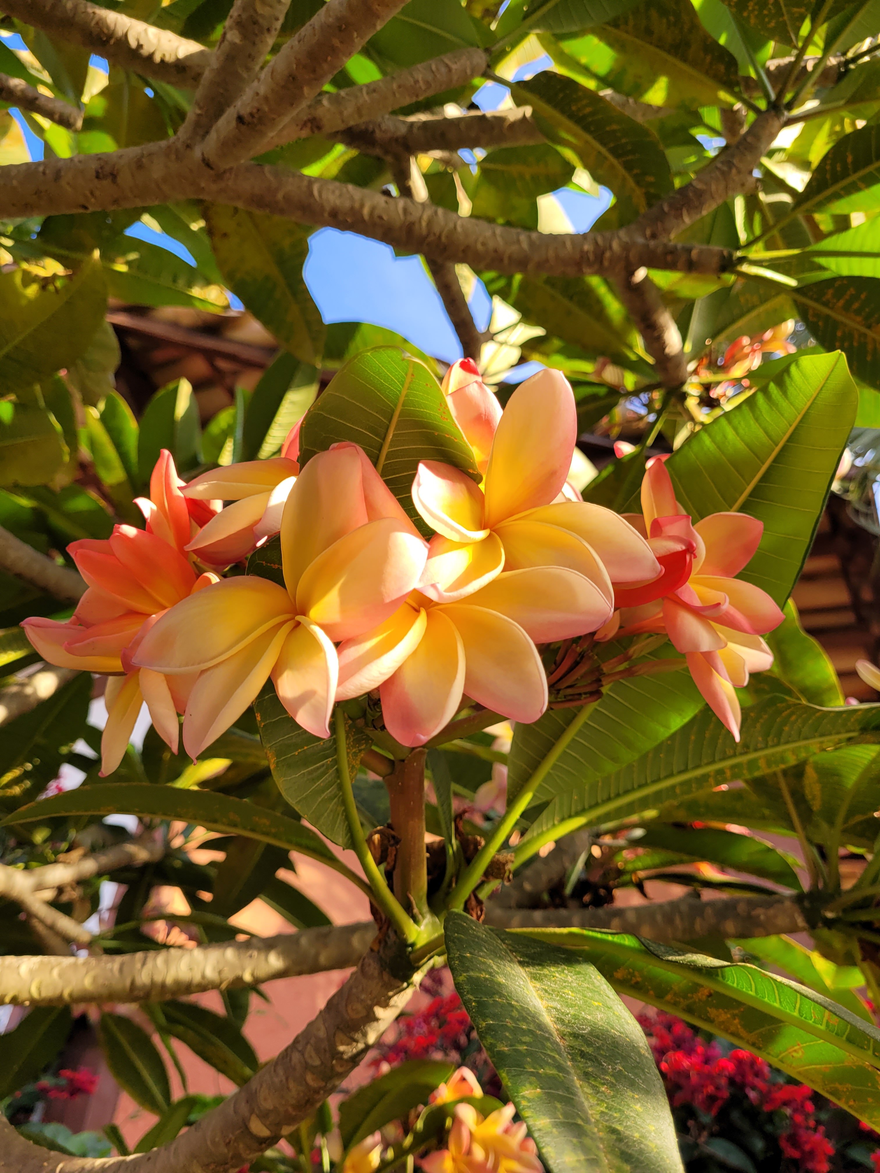 Pousada Vivenda-官方