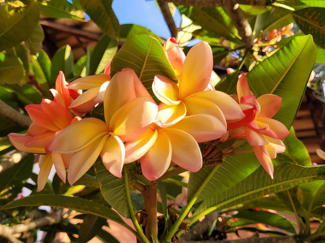 Pousada Vivenda主图