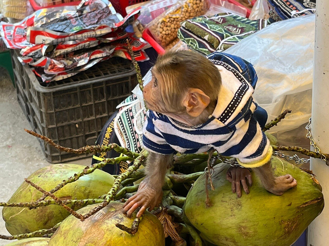 Mr. Hung Tourism-Ha Giang必去景点