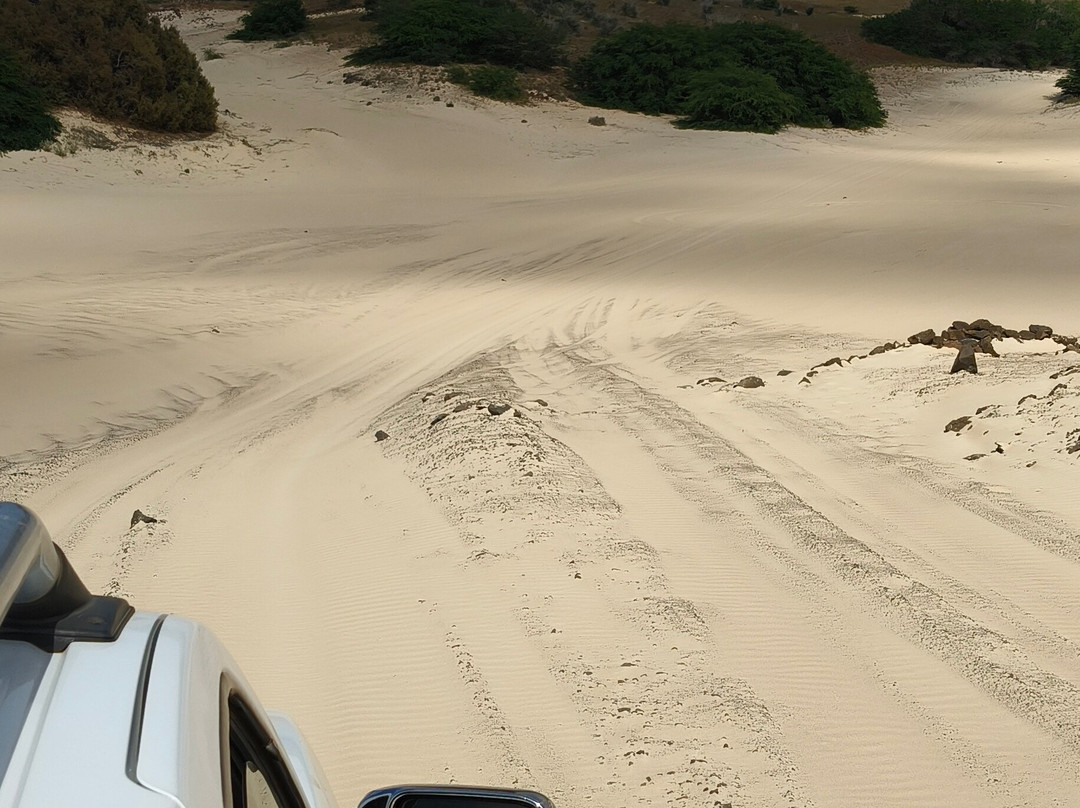 SolaCyberTours-萨尔雷必去景点