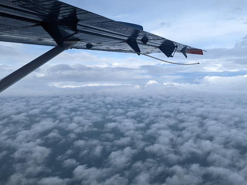 Emerald Air Service, Inc.-荷马必去景点