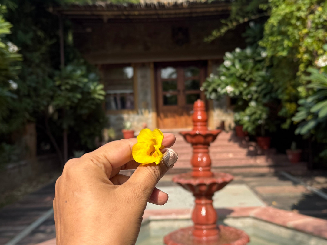 Little Affair Sariska主图