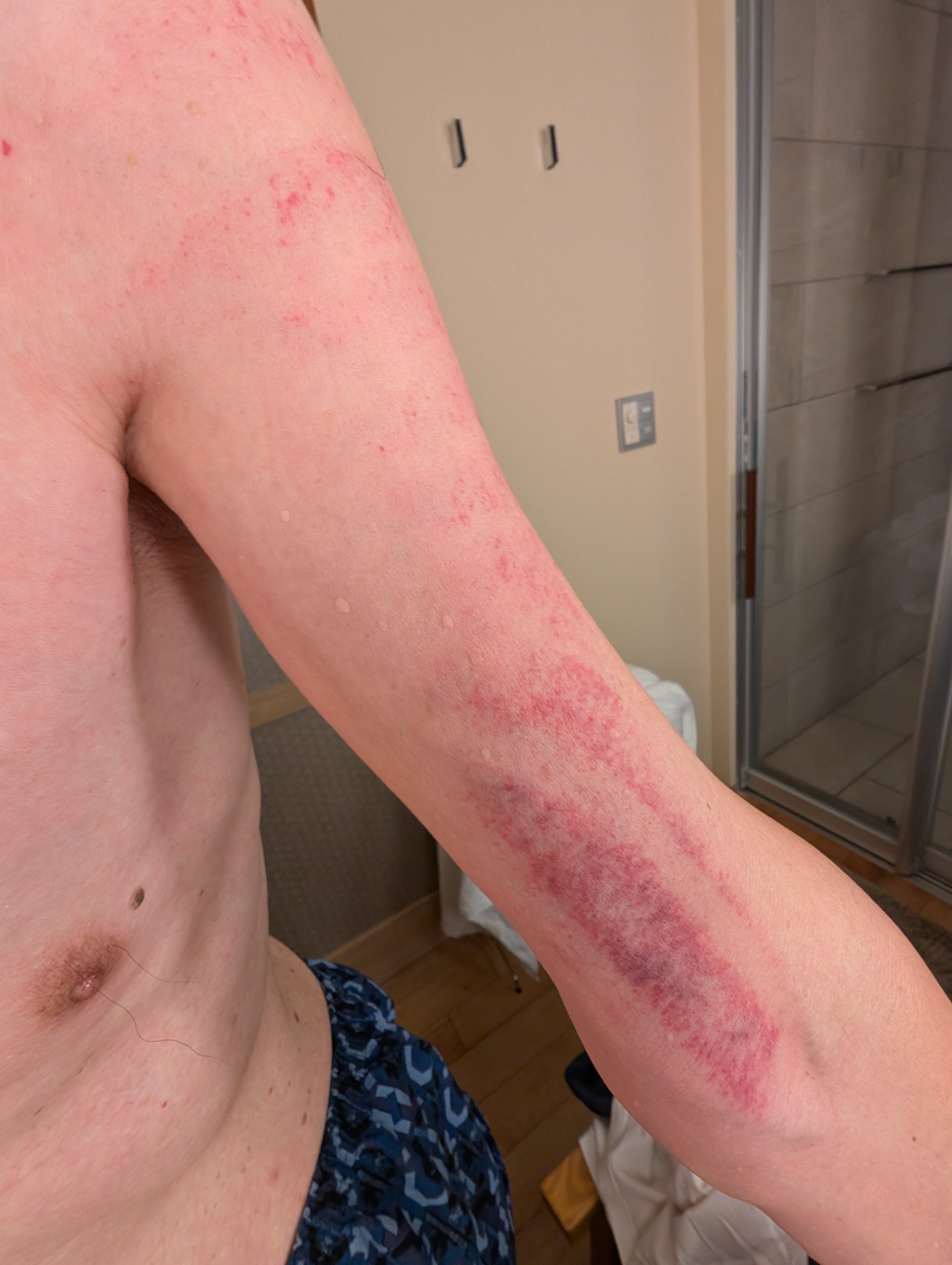 下田大和旅馆-官方