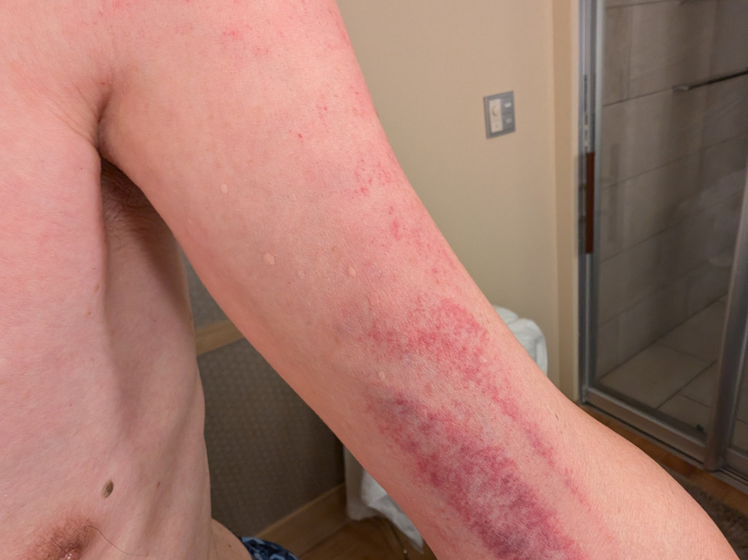 下田大和旅馆主图