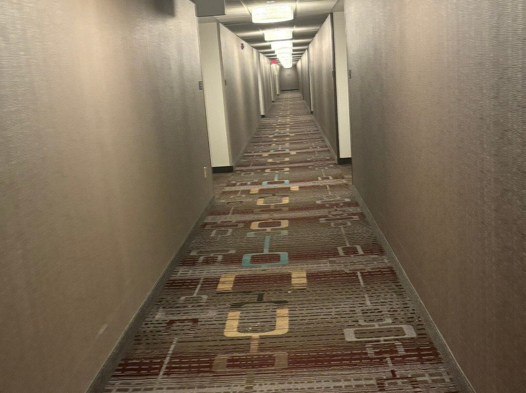 Residence Inn by Marriott Newark Elizabeth/Liberty International Airport主图