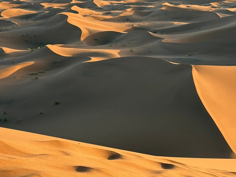 La Rose Nomade-迈哈米德必去景点