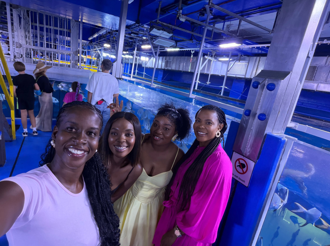 Travel Planners Ghana-阿克拉必去景点