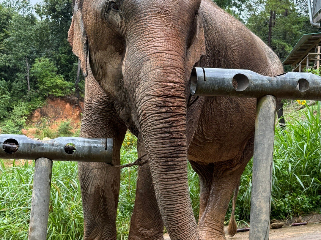 Chang Chill-Mae Win必去景点