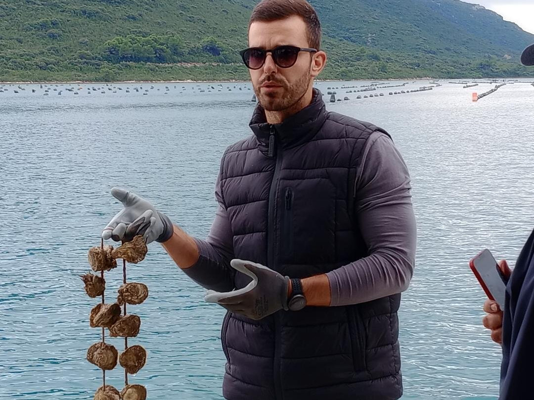 Mali Ston Oysters-Mali Ston必去景点