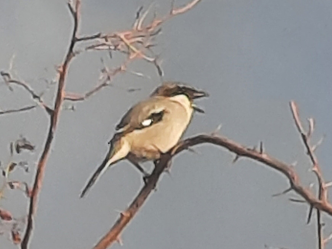 Walk from Puerto del Carmen to Puerto Calero-卡门港必去景点