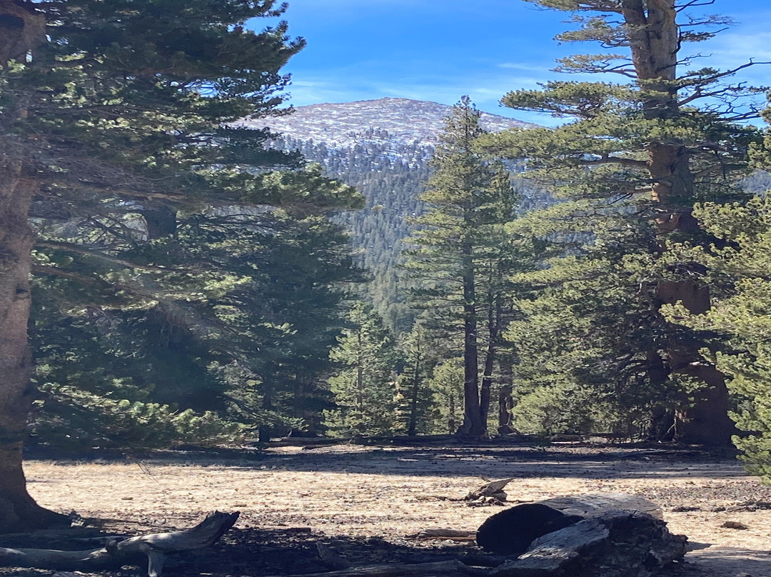 Horseshoe Meadow Trail-隆派恩必去景点