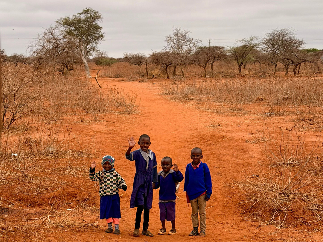 Gamewatchers Safaris-内罗毕必去景点