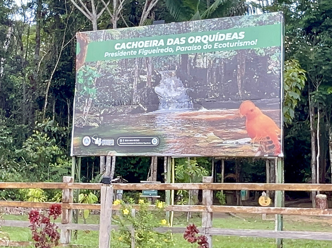 Cachoeira das Orquideas-Presidente Figueiredo必去景点