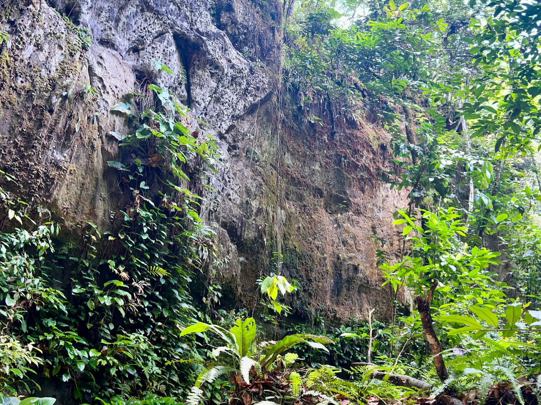 Turismo na Amazônia - Gruta da Judeia-Presidente Figueiredo必去景点