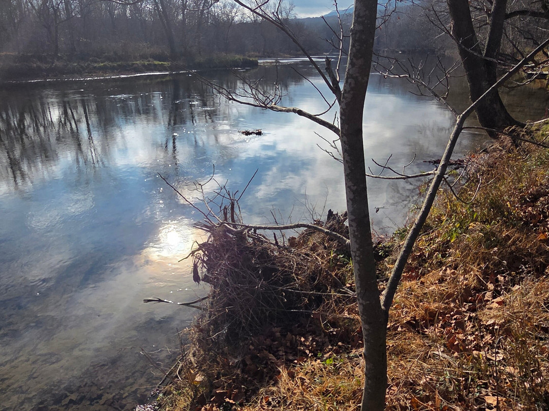 Shenandoah River Outfitters-卢雷必去景点