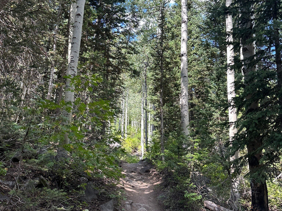 Red Pine Lake-帕克城必去景点