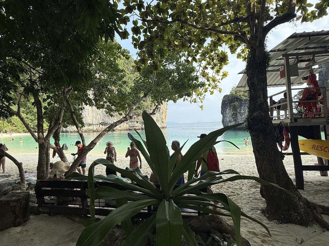 Alma Livre Viagens-库里提巴必去景点