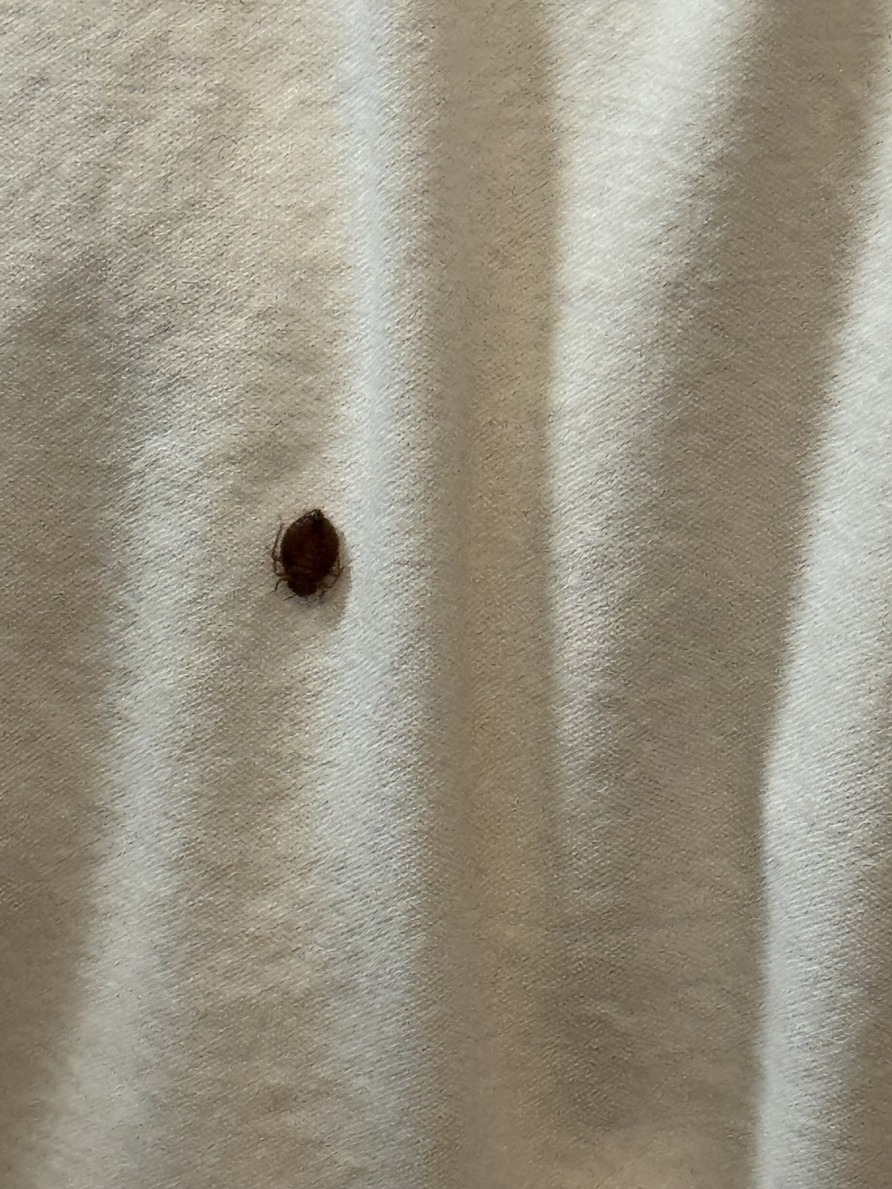 Residence Inn by Marriott Minneapolis St. Paul/Eagan-客卧