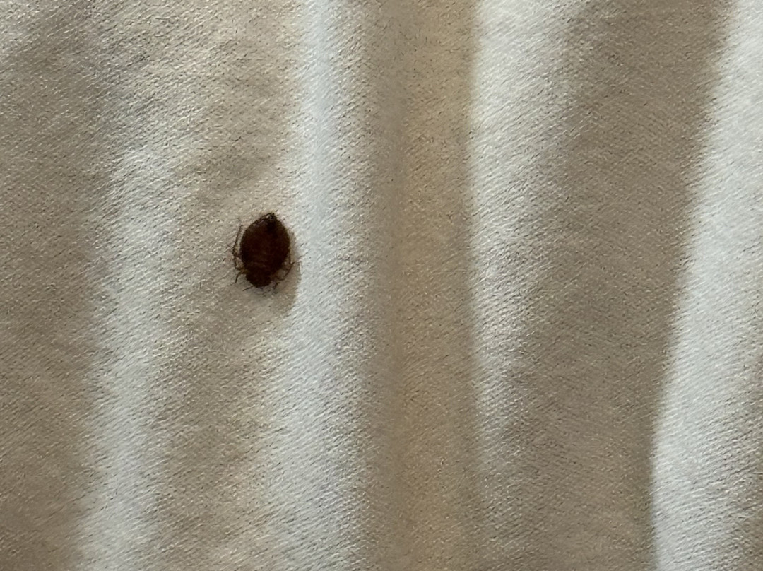 Residence Inn by Marriott Minneapolis St. Paul/Eagan主图