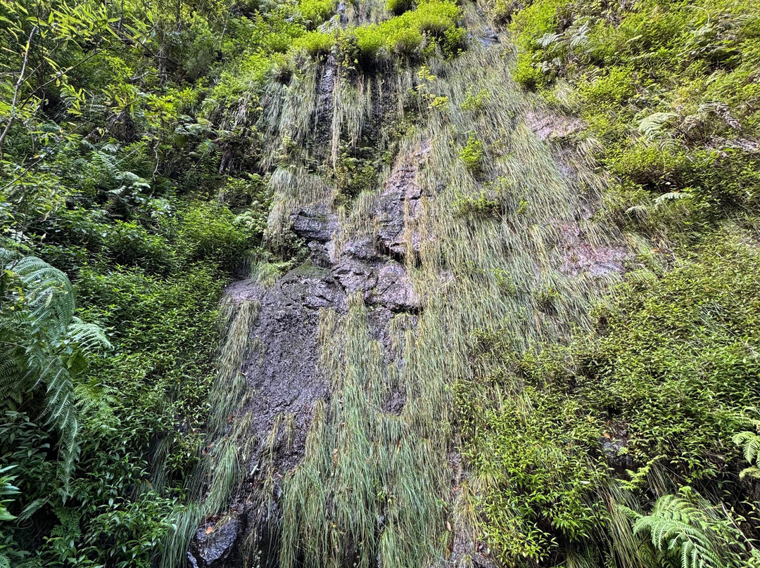 Levada Do Reí-Sao Jorge必去景点