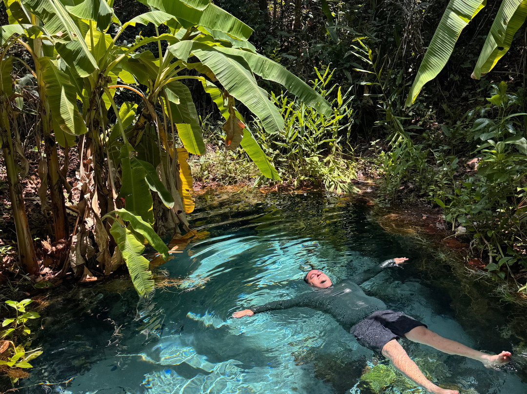 Cenario Nativo Expedicoes-Mateiros必去景点