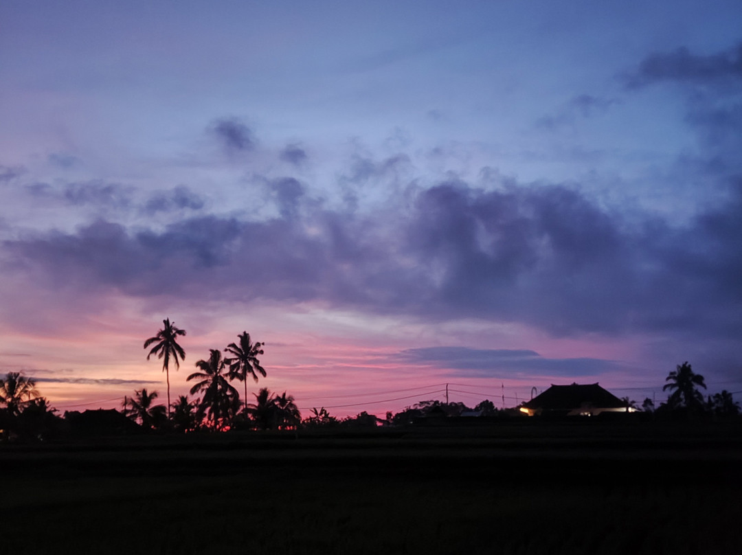 The Nenggala Suite主图