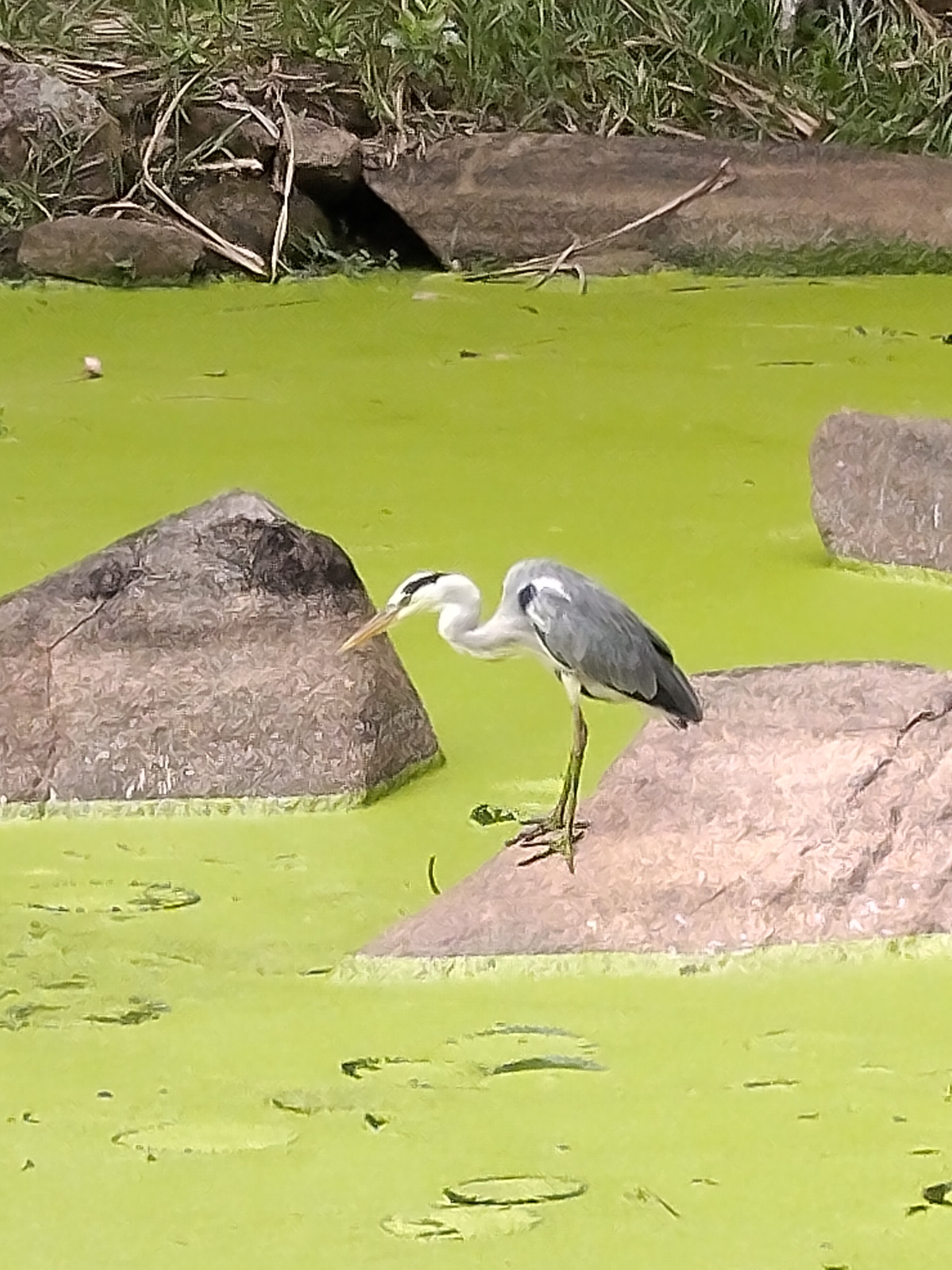 塞舌尔凯宾斯基度假酒店-官方