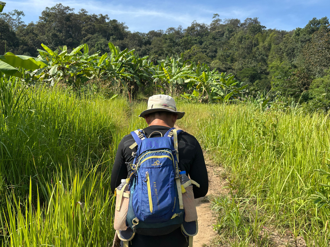 Chiang Mai Eco Trekking-清迈必去景点