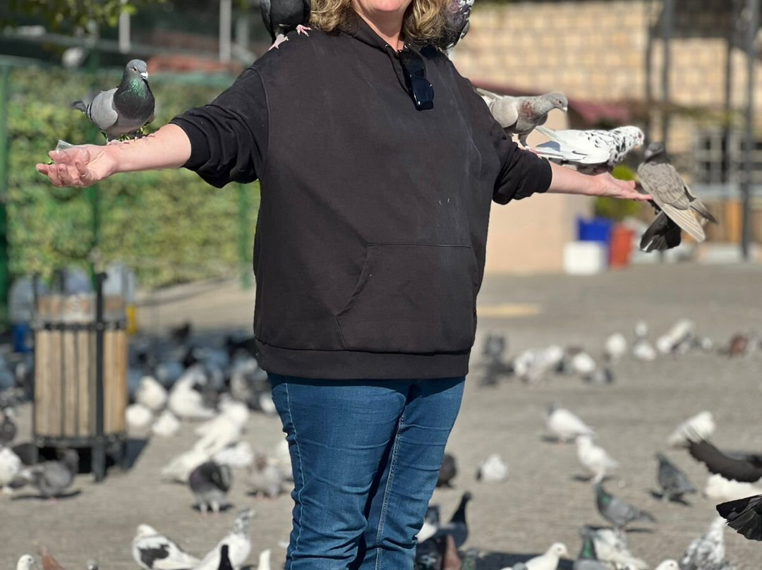 Adil Sumerian-Baghdad必去景点