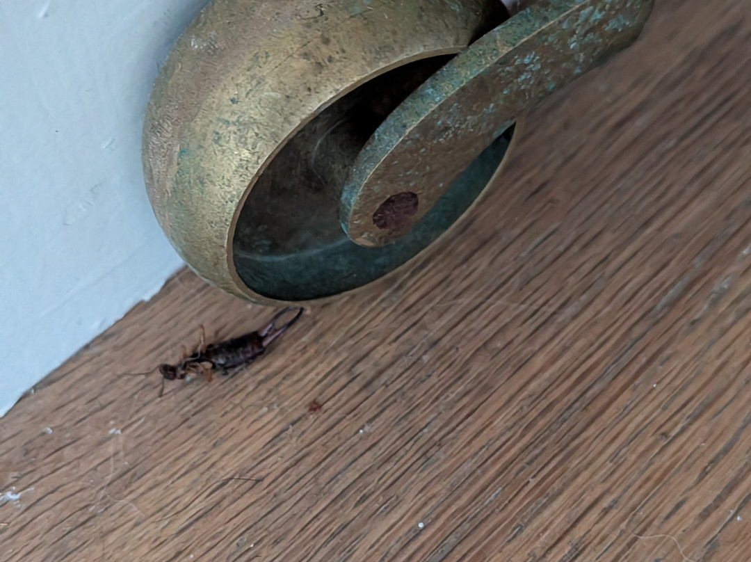 草地鹨酒店主图