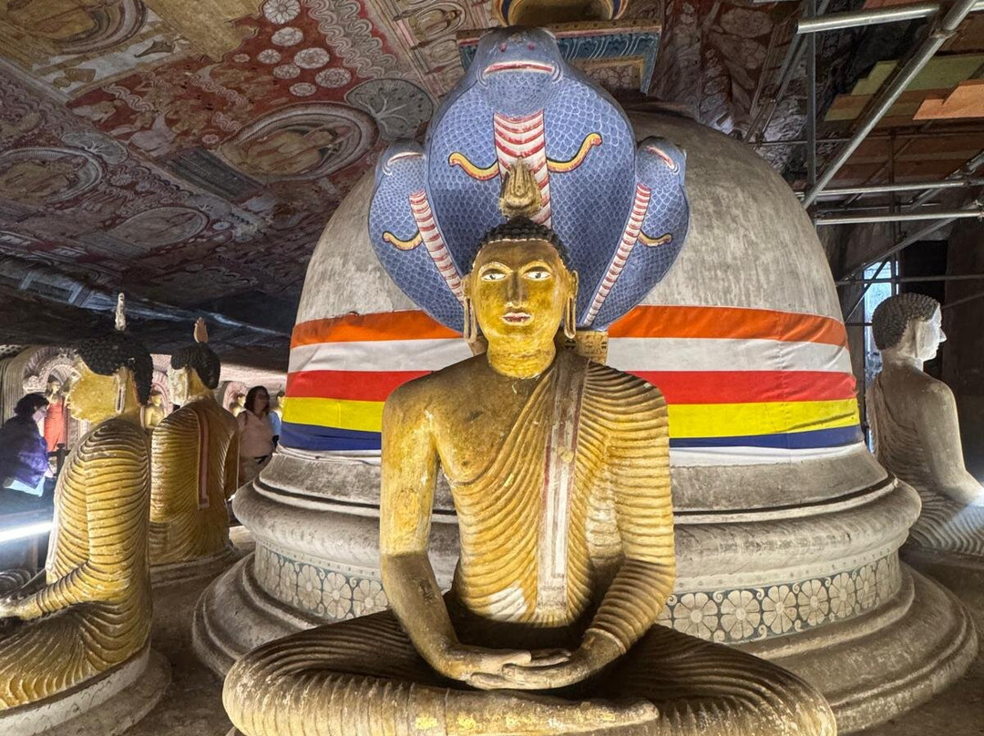 Dan Lanka Tours-科伦坡必去景点